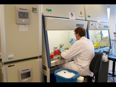 Hubrecht Organoid Technology