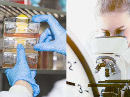 How to reduce downtime in cell cultivation turnover.