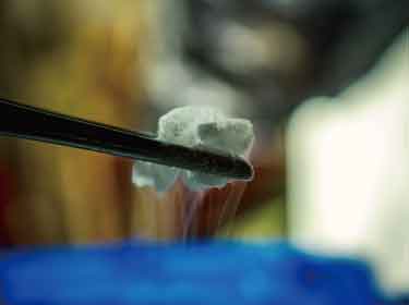 細胞単層の形態を維持できる確実な抗凍結剤