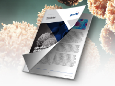 3次元細胞培養は科学をどう発展させるか？