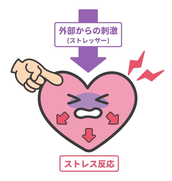 ストレッサーによる刺激