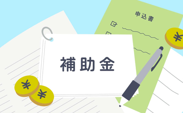 電子カルテ補助金の全体像