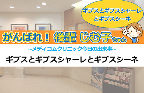 ギプスとギプスシャーレとギプスシーネ