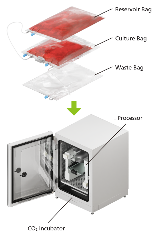 monitoring of the cell culture process