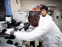 Construction Project for the Advanced Research Center for Infectious Diseases at the Noguchi Memorial Institute for Medical Research